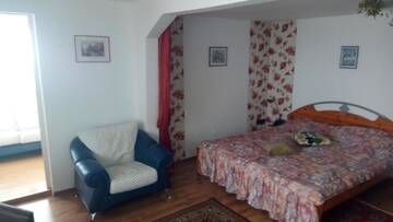 Фото номера Двухместный номер с 1 кроватью и видом на горы Гостевой дом Vila Zenyt г. Пьятра-Фантанеле 6